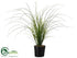 Silk Plants Direct Grass - Green - Pack of 1