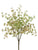 Silk Plants Direct Eucalyptus Seed Bush - Green White - Pack of 6